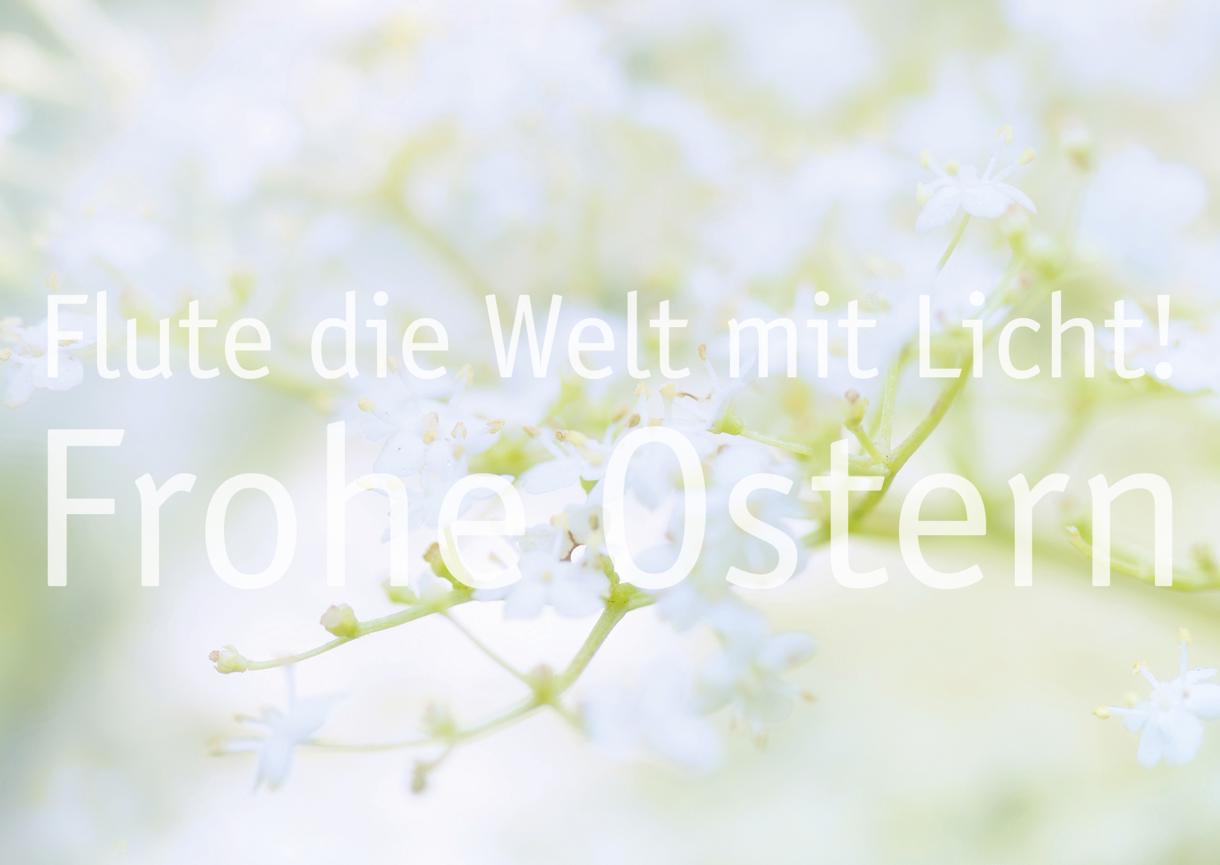 Frohe Ostern · Postkarte & Klappkarte Frohe Ostern · Postkarte & Klappkarte